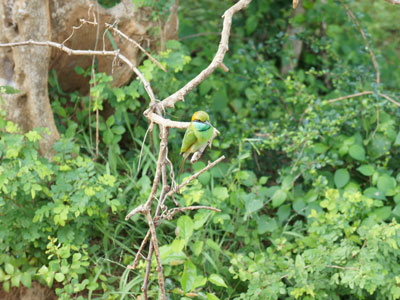 Voyage au Sri lanka de Michaela et Bruno