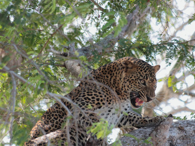 Voyage au Sri lanka de Serge