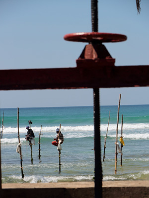 Voyage au Sri lanka de Serge