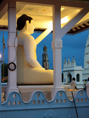 Voyage au Sri lanka de Serge