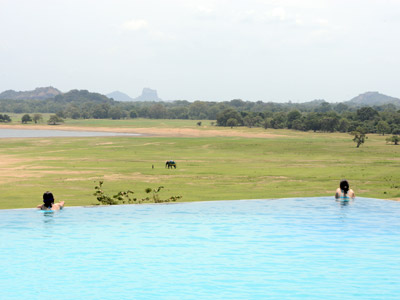 Voyage au Sri lanka de Serge