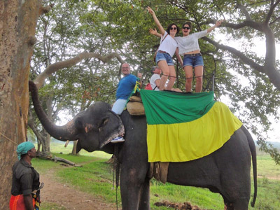Voyage au Sri lanka de Thierry
