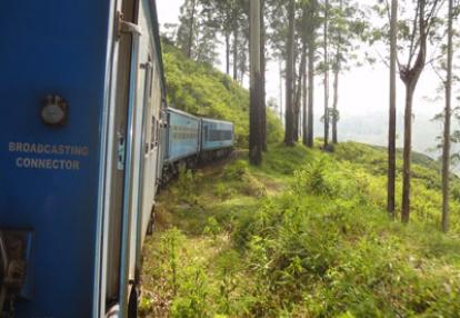 Voyage au Sri lanka de Thierry