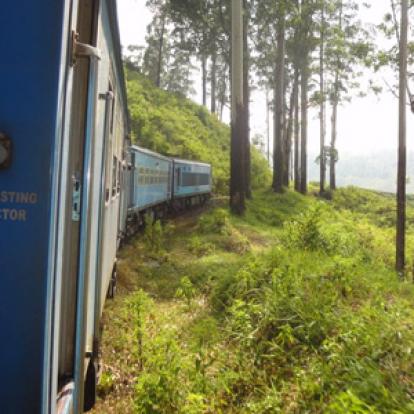 Voyage au Sri lanka de Thierry