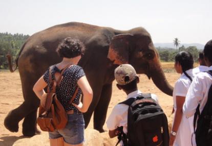 Voyage au Sri lanka de Thierry
