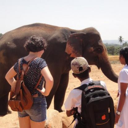 Voyage au Sri lanka de Thierry