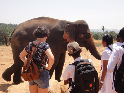 Voyage au Sri lanka de Thierry
