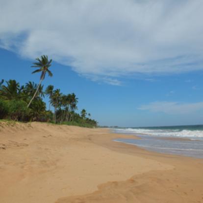 Voyage au Sri lanka de la Famille de Loïc