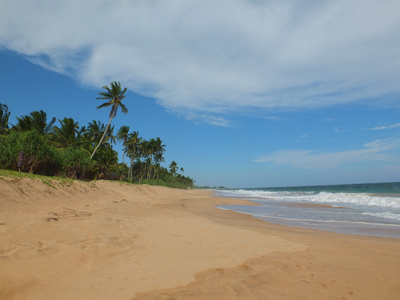 Voyage au Sri lanka de la Famille de Loïc