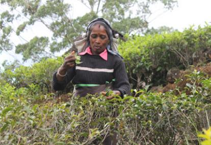 Voyage au Sri lanka de Christian