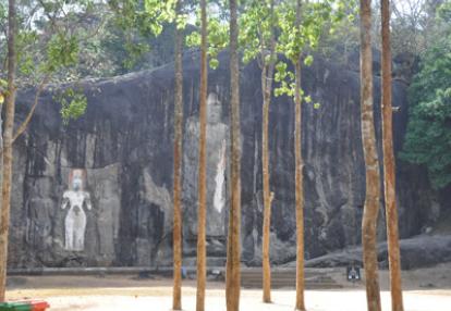 ©Véronique L. - Tous Droits réservés Voyage au Sri lanka de Véronique et Stéphane