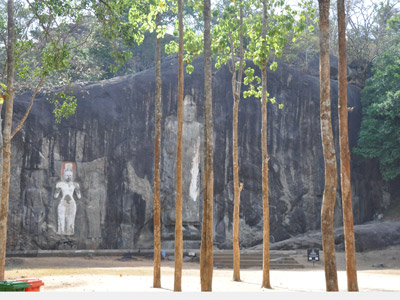 Voyage au Sri lanka de Véronique et Stéphane