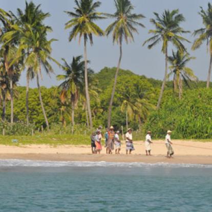 Voyage au Sri lanka de Véronique et Stéphane
