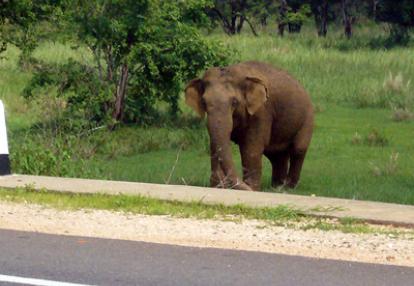 ©Bernard D. - Tous Droits réservés ©Bernard D. - Tous Droits réservés