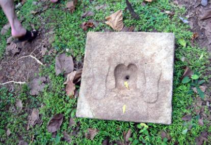 ©Bernard D. - Tous Droits réservés