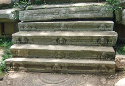 ©Bernard D. - Tous Droits réservés