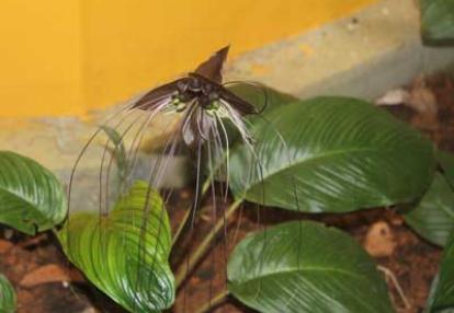 ©Taibi B. - Tous Droits réservés