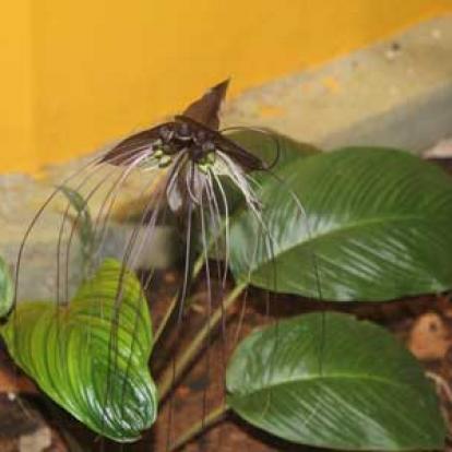 ©Taibi B. - Tous Droits réservés