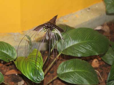 ©Taibi B. - Tous Droits réservés