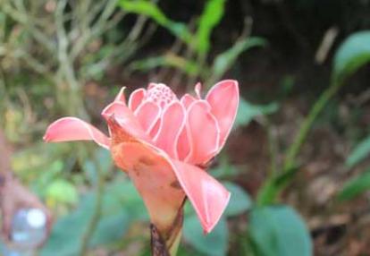 ©Taibi B. - Tous Droits réservés