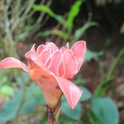 ©Taibi B. - Tous Droits réservés