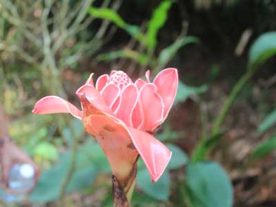 ©Taibi B. - Tous Droits réservés