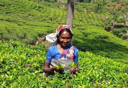 ©Philippe E. - Tous Droits réservés