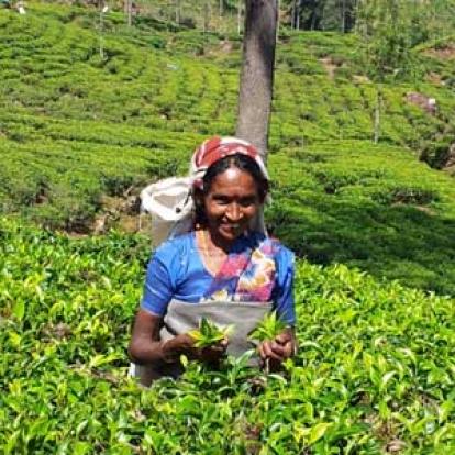 ©Philippe E. - Tous Droits réservés