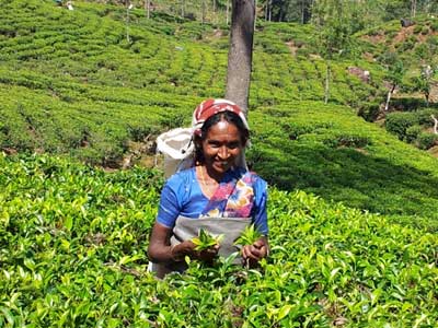 ©Philippe E. - Tous Droits réservés