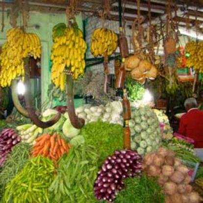 ©Philippe E. - Tous Droits réservés