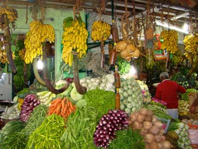 ©Philippe E. - Tous Droits réservés