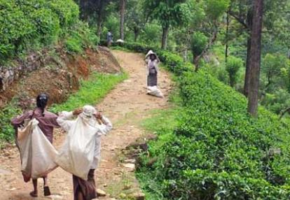 ©Philippe E. - Tous Droits réservés