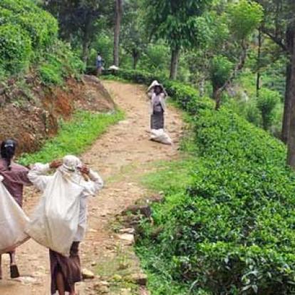 ©Philippe E. - Tous Droits réservés