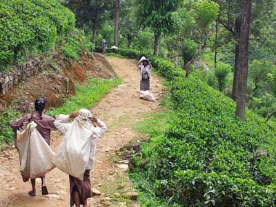 ©Philippe E. - Tous Droits réservés