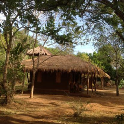 the Other Corner, à Harabana, dans le triangle culturel. Excellent point d'observation des oiseaux en plus