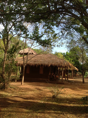 the Other Corner, à Harabana, dans le triangle culturel. Excellent point d'observation des oiseaux en plus