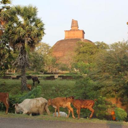Stupa Anuradhapura