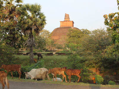 Stupa Anuradhapura