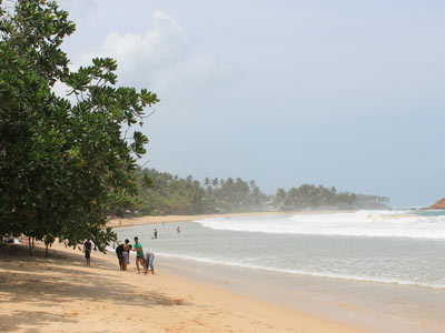 Voyage au Sri Lanka de Frédéric et Stéphanie