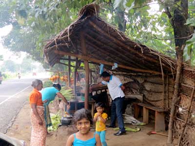 Voyage au Sri Lanka de Gérald