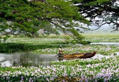 Voyage au Sri Lanka de Gérald