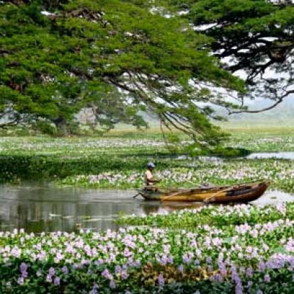 Voyage au Sri Lanka de Gérald