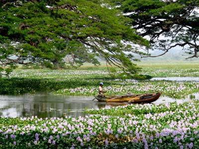 Voyage au Sri Lanka de Gérald