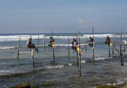 Voyage au Sri Lanka d'Anne-Marie