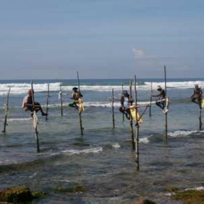 Voyage au Sri Lanka d'Anne-Marie
