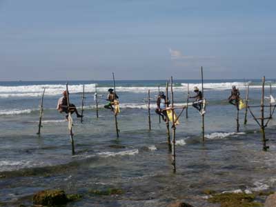 Voyage au Sri Lanka d'Anne-Marie