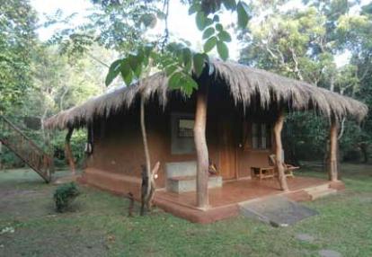 Voyage au Sri Lanka d'Anne-Marie