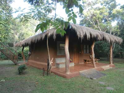 Voyage au Sri Lanka d'Anne-Marie