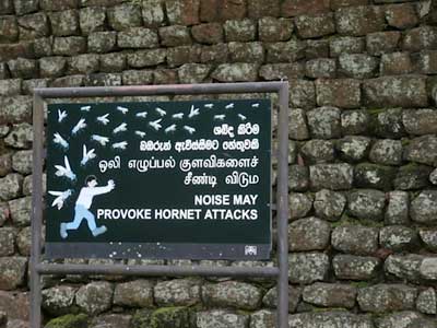 Voyage au Sri Lanka d'Anne-Marie