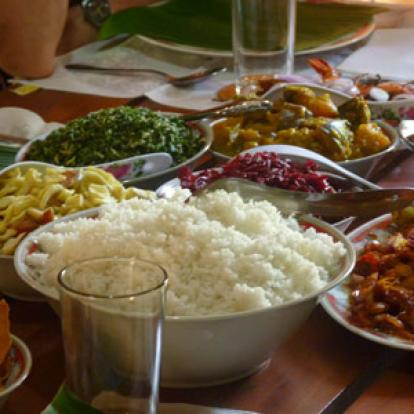 Voyage au Sri Lanka de philippe et sa famille